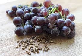 Grape Seed Extracts Benefits